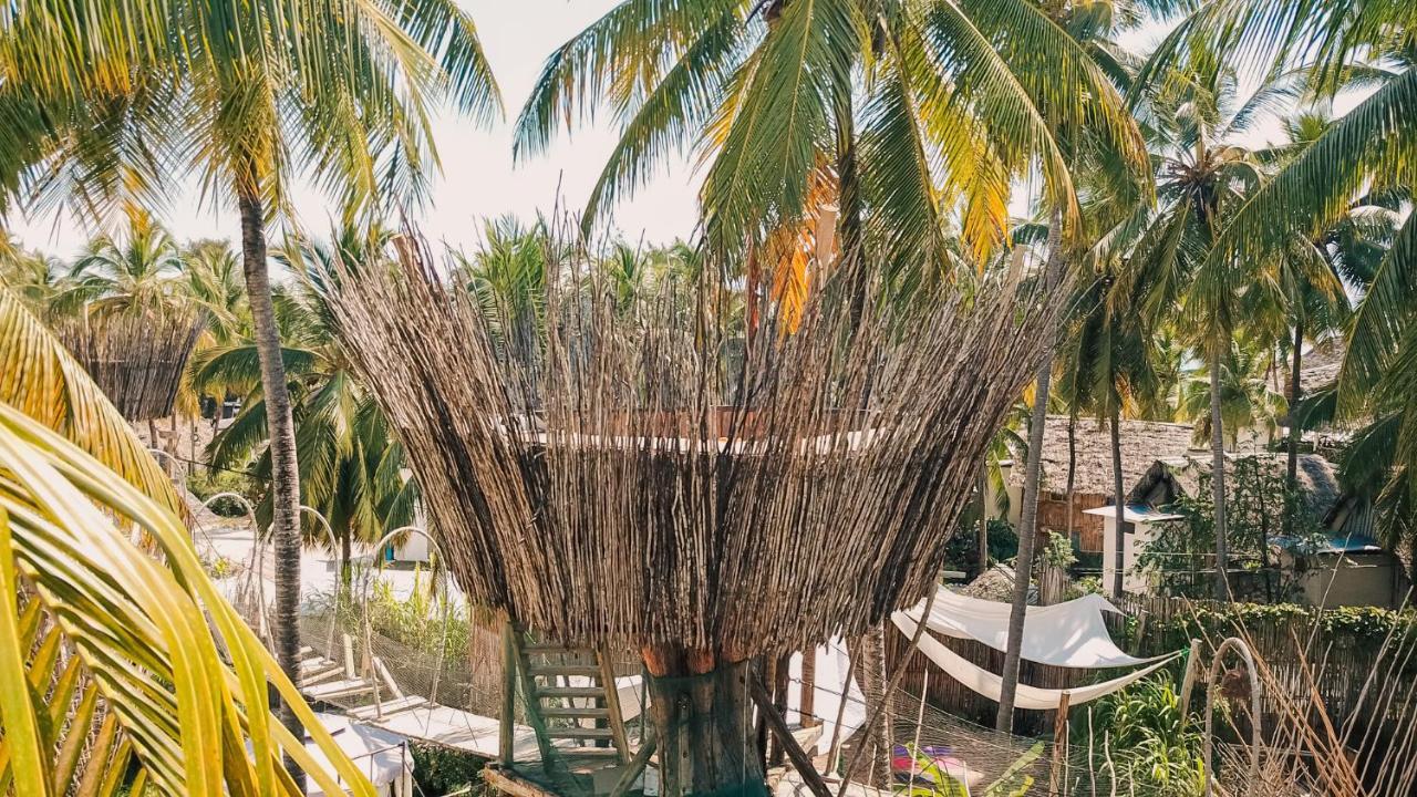 The Nest Boutique Resort ปาเยอ ภายนอก รูปภาพ